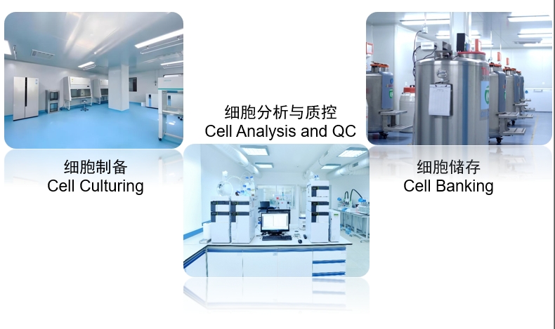 中国首个医院级iPSC技术平台落地博鳌  再生医学开启精准治疗新纪元插图