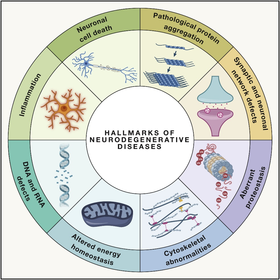 博鳌国际医院在《Neurology – Research & Surgery》上发表干细胞治疗脑部退行性疾病的最新研究插图1