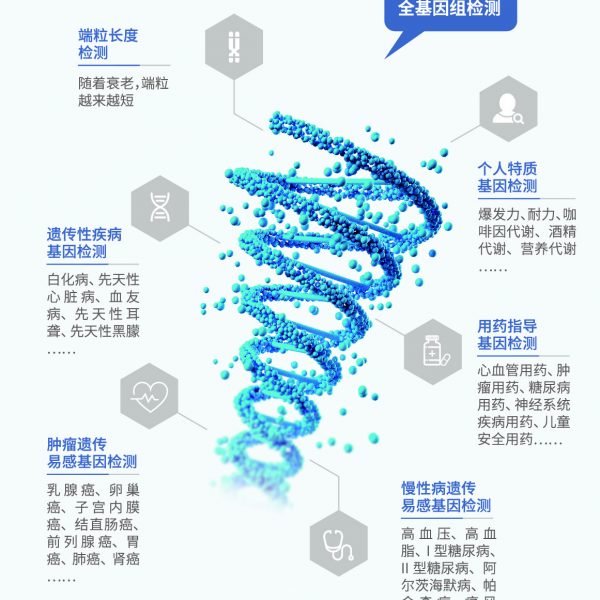 打印 打印